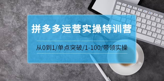 拼多多运营实操特训营：从0到1/单点突破/1-100/带领实操 价值2980元柒柒网创吧-网创项目资源站-副业项目-创业项目-搞钱项目柒柒网创吧