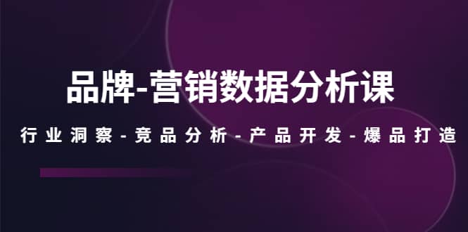 品牌-营销数据分析课，行业洞察-竞品分析-产品开发-爆品打造柒柒网创吧-网创项目资源站-副业项目-创业项目-搞钱项目柒柒网创吧