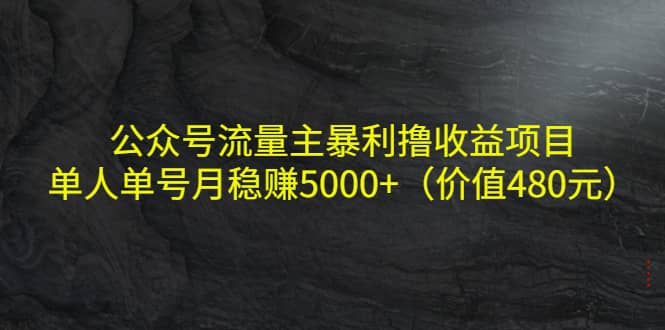 公众号流量主暴利撸收益项目，单人单号月稳赚5000+（价值480元）柒柒网创吧-网创项目资源站-副业项目-创业项目-搞钱项目柒柒网创吧