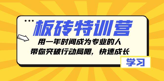板砖特训营，用一年时间成为专业的人，带你突破行动局限，快速成长柒柒网创吧-网创项目资源站-副业项目-创业项目-搞钱项目柒柒网创吧