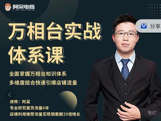 阿呆-万相台实战体系课，帮您全面掌握万相台知识体系柒柒网创吧-网创项目资源站-副业项目-创业项目-搞钱项目柒柒网创吧