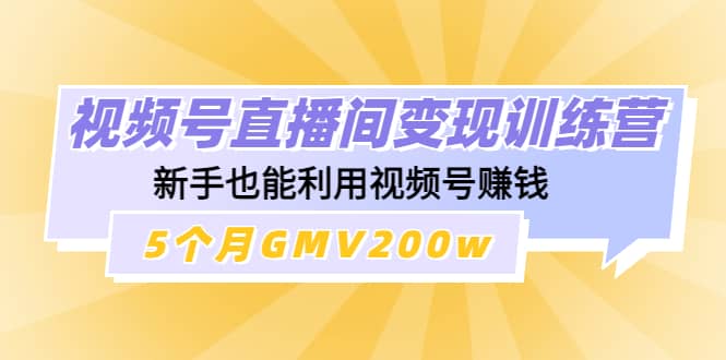 视频号直播间变现训练营柒柒网创吧-网创项目资源站-副业项目-创业项目-搞钱项目柒柒网创吧