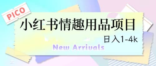 最新小红书情趣用品项目，日入1-4k柒柒网创吧-网创项目资源站-副业项目-创业项目-搞钱项目柒柒网创吧