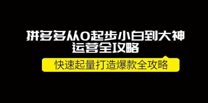 拼多多从0起步小白到大神运营全攻略柒柒网创吧-网创项目资源站-副业项目-创业项目-搞钱项目柒柒网创吧