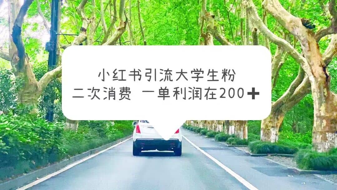 小红书引流大学生粉，变现项目，一单利润在200+（教程+资源）柒柒网创吧-网创项目资源站-副业项目-创业项目-搞钱项目柒柒网创吧