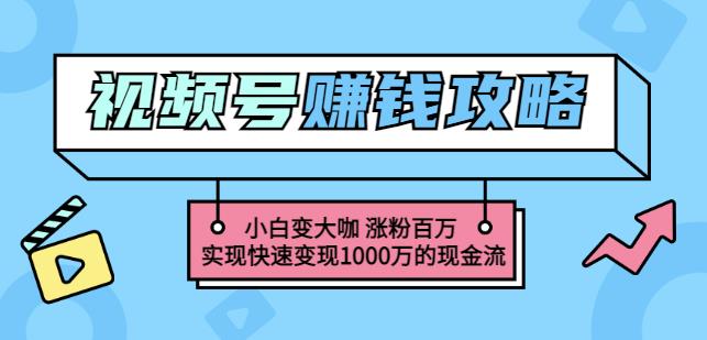 玩转微信视频号赚钱：小白变大咖涨粉百万实现快速变现1000万的现金流柒柒网创吧-网创项目资源站-副业项目-创业项目-搞钱项目柒柒网创吧