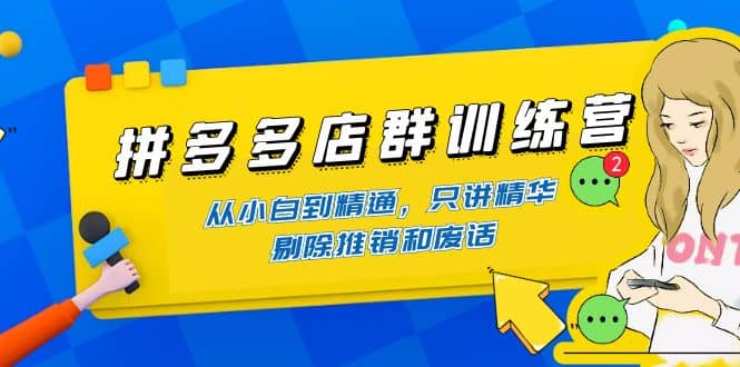 拼多多店群训练营：从小白到精通，只讲精华，剔除推销和废话柒柒网创吧-网创项目资源站-副业项目-创业项目-搞钱项目柒柒网创吧