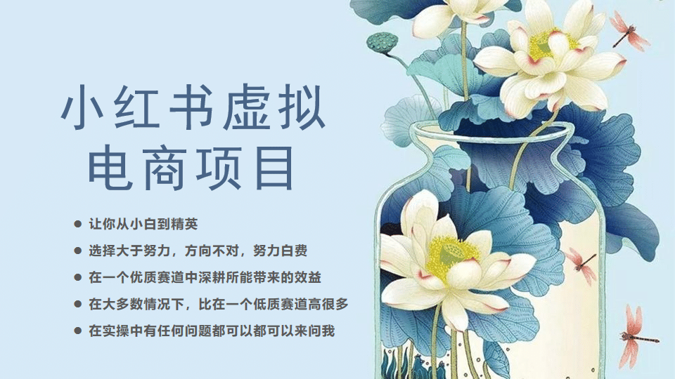 小红书虚拟电商从0到1，让你从小白到精英（20节实操课程）柒柒网创吧-网创项目资源站-副业项目-创业项目-搞钱项目柒柒网创吧