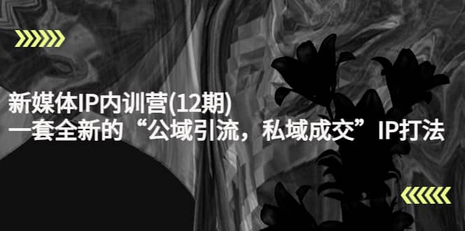新媒体IP内训营(12期)，一套全新的“公域引流，私域成交”IP打法，直接带走柒柒网创吧-网创项目资源站-副业项目-创业项目-搞钱项目柒柒网创吧