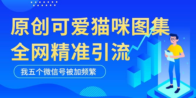 黑科技纯原创可爱猫咪图片，全网精准引流，实操5个VX号被加频繁柒柒网创吧-网创项目资源站-副业项目-创业项目-搞钱项目柒柒网创吧