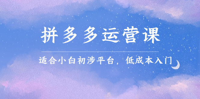 拼多多运营课，适合小白初涉平台，低成本入门柒柒网创吧-网创项目资源站-副业项目-创业项目-搞钱项目柒柒网创吧