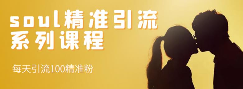 soul精准引流系列课程，每天引流100精准粉柒柒网创吧-网创项目资源站-副业项目-创业项目-搞钱项目柒柒网创吧