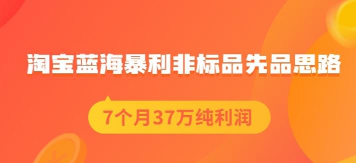 盗坤淘宝蓝海暴利非标品先品思路，7个月37万纯利润，压箱干货分享！【付费文章】柒柒网创吧-网创项目资源站-副业项目-创业项目-搞钱项目柒柒网创吧