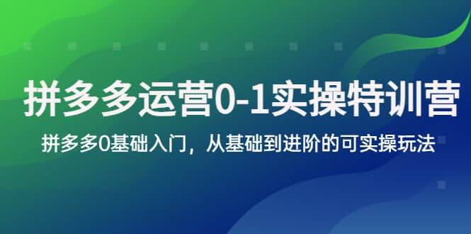 拼多多-运营0-1实操训练营，拼多多0基础入门，从基础到进阶的可实操玩法柒柒网创吧-网创项目资源站-副业项目-创业项目-搞钱项目柒柒网创吧