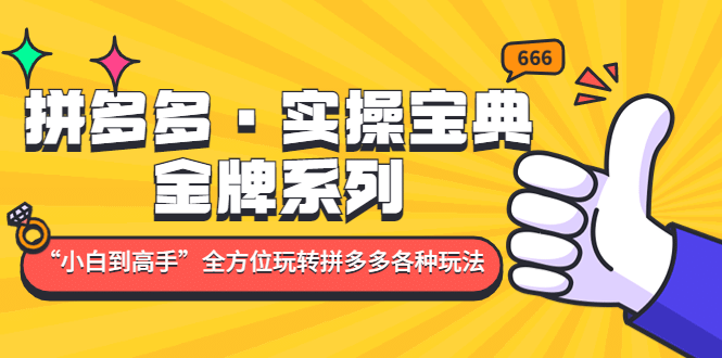 拼多多·实操宝典：金牌系列“小白到高手”带你全方位玩转拼多多各种玩法柒柒网创吧-网创项目资源站-副业项目-创业项目-搞钱项目柒柒网创吧