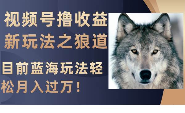 视频号撸收益新玩法之狼道，目前蓝海玩法轻松月入过万！柒柒网创吧-网创项目资源站-副业项目-创业项目-搞钱项目柒柒网创吧