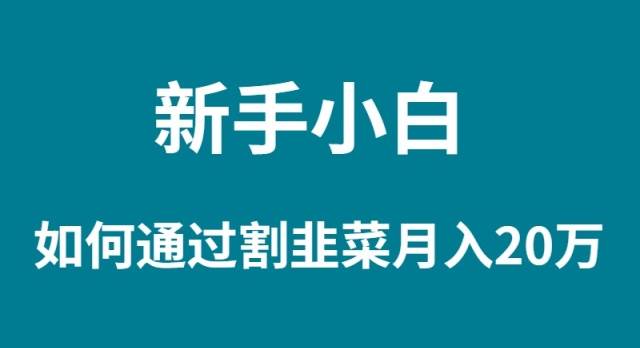 新手小白如何通过割韭菜月入 20W柒柒网创吧-网创项目资源站-副业项目-创业项目-搞钱项目柒柒网创吧