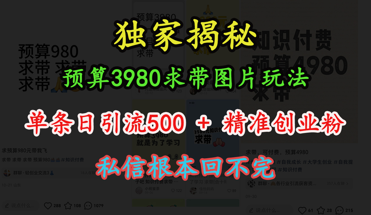 “小红书”预算3980求带 图片玩法，单条日引流500+精准创业粉，私信根本回不完柒柒网创吧-网创项目资源站-副业项目-创业项目-搞钱项目柒柒网创吧
